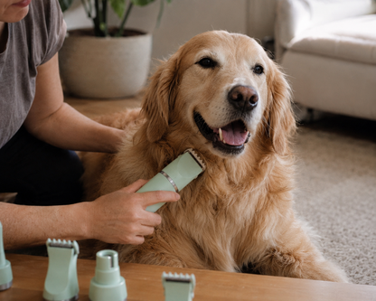 Transform Your Pet's Grooming Routine with the TobbyandCo. 4-in-1 Electric Grooming Kit