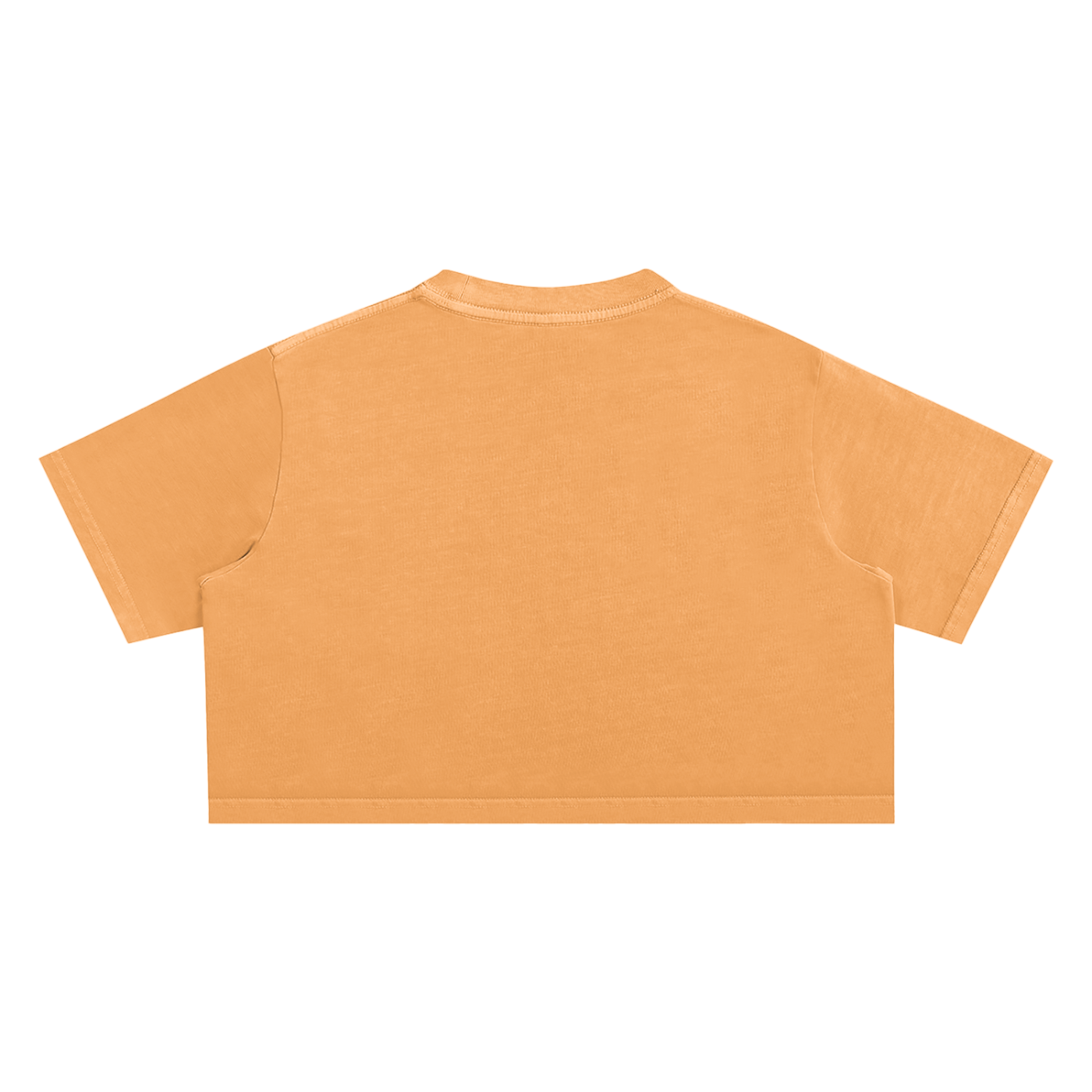 Women's Snow Washed Crop Top